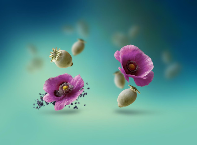 Poppy seed oil