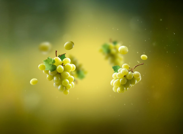 White wine vinegar