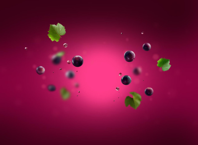 Zweigelt grape seed oil